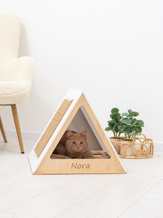 2025-cat-house