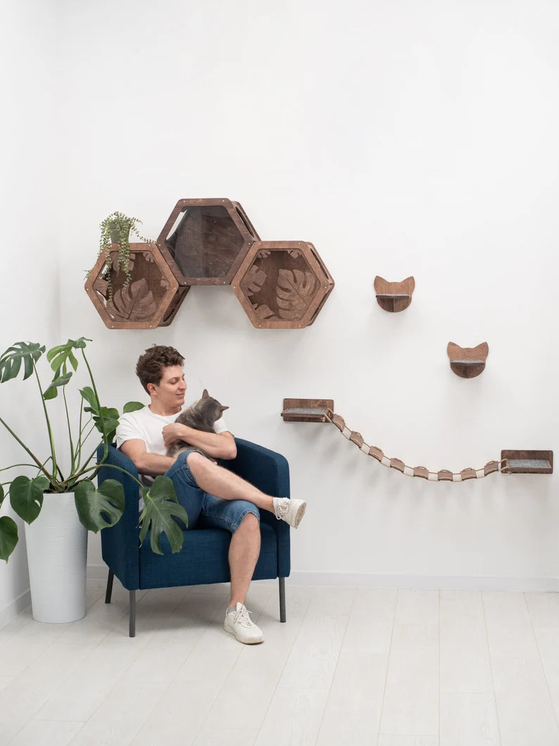 Cats_Mode_Cat_Wall