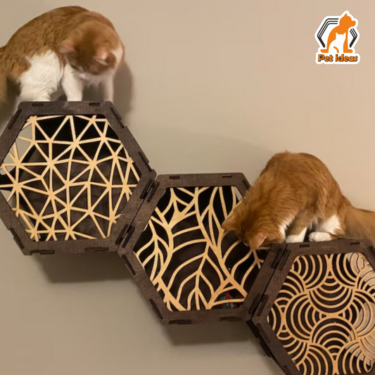 Honeycomb Hexagons Cat Shelf Wall-Mounted Perch Set