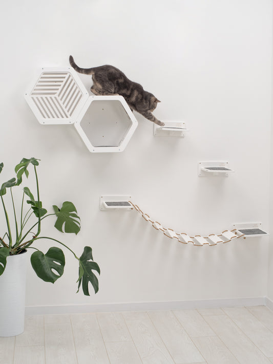 White_Wood_Cat_Furniture
