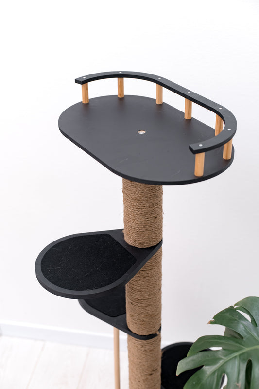 cat-sisal-tree