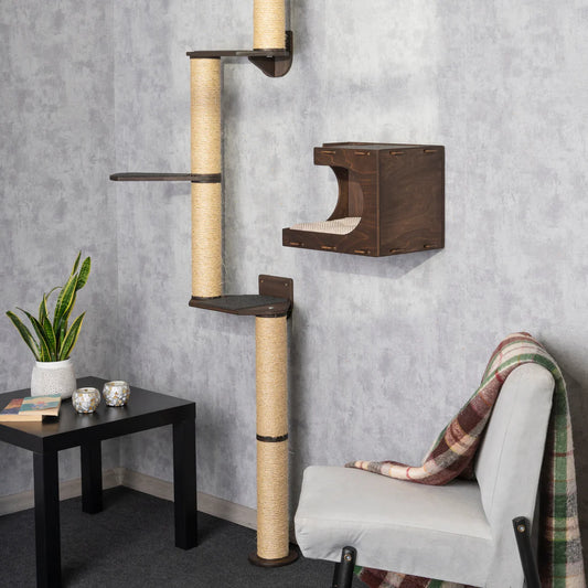 Stylish Cat Tree and Cat House Combo - Modern Cat