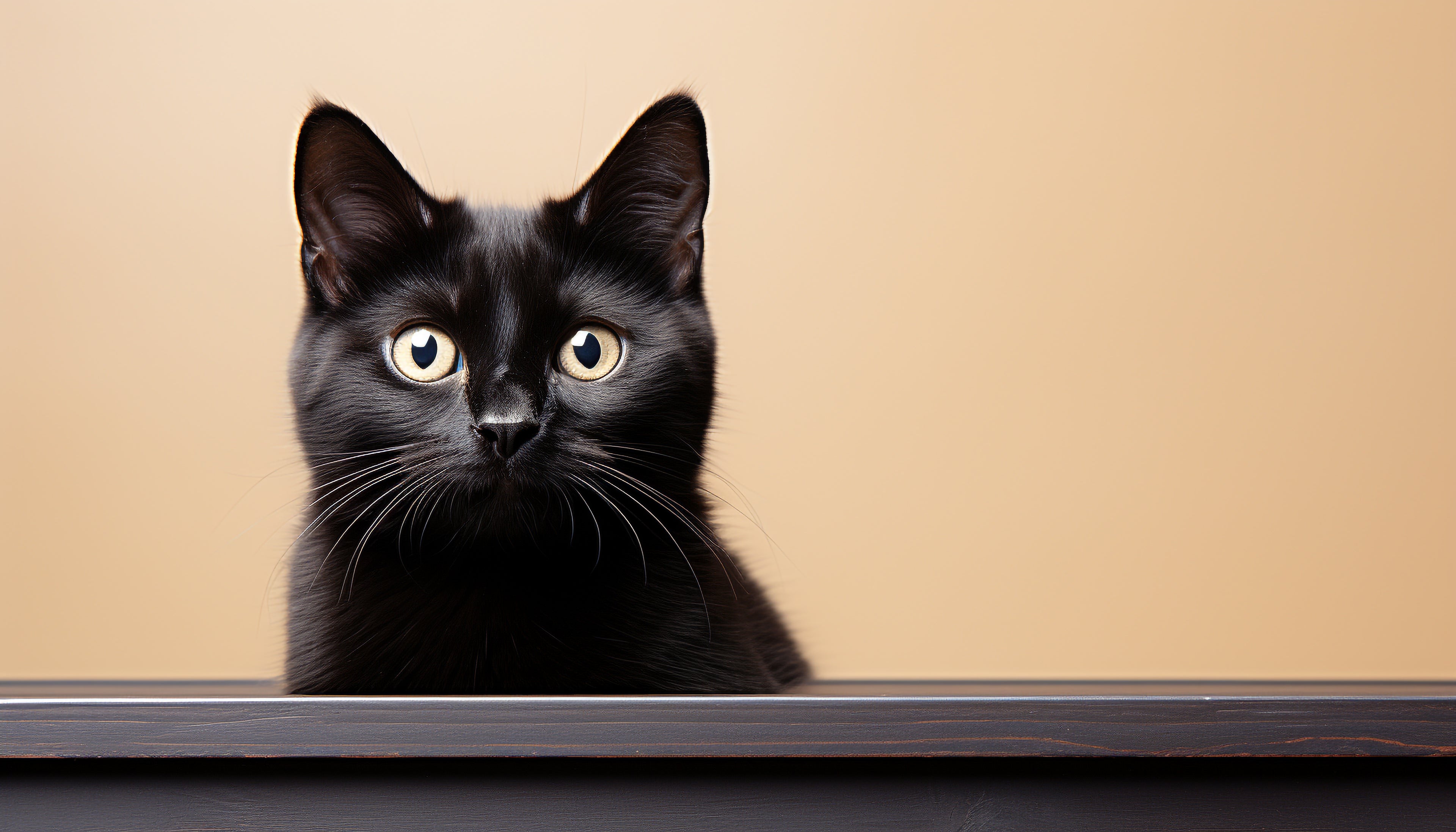 Hand_Crafted_Cat