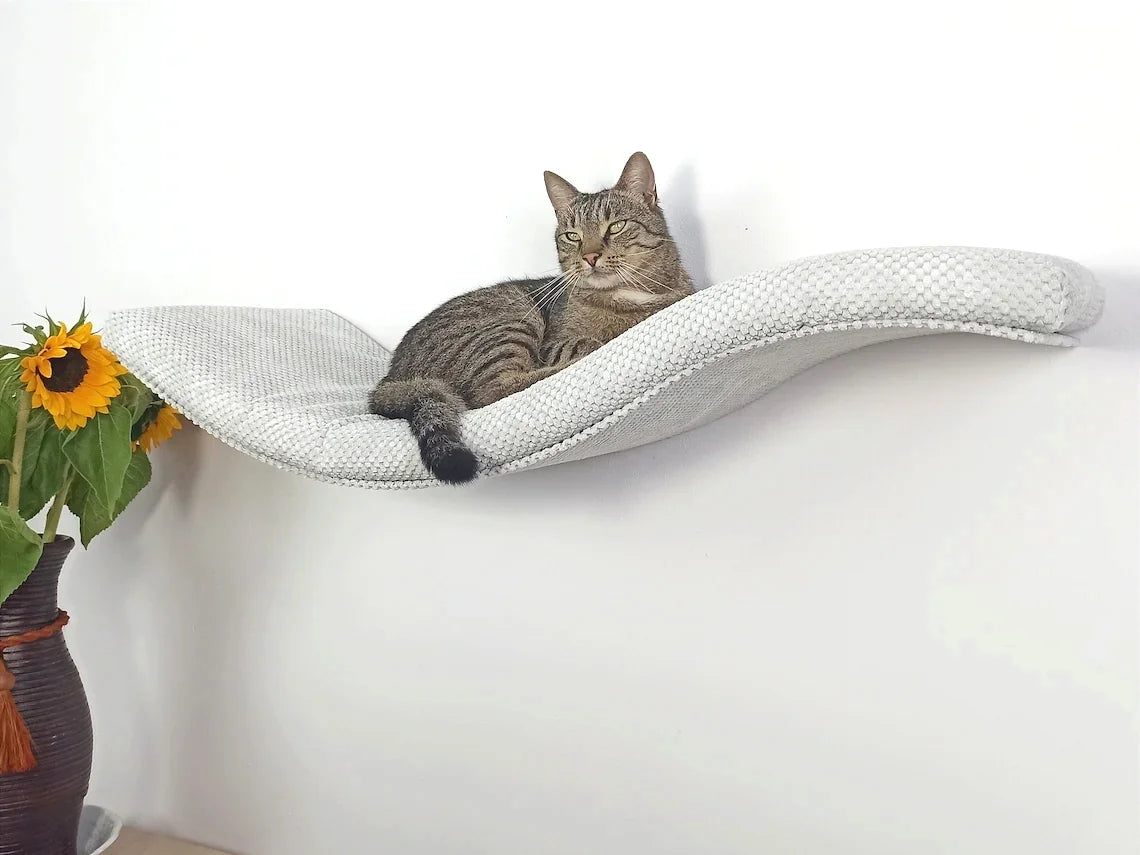 cat-shelf-playful-curve-left-95