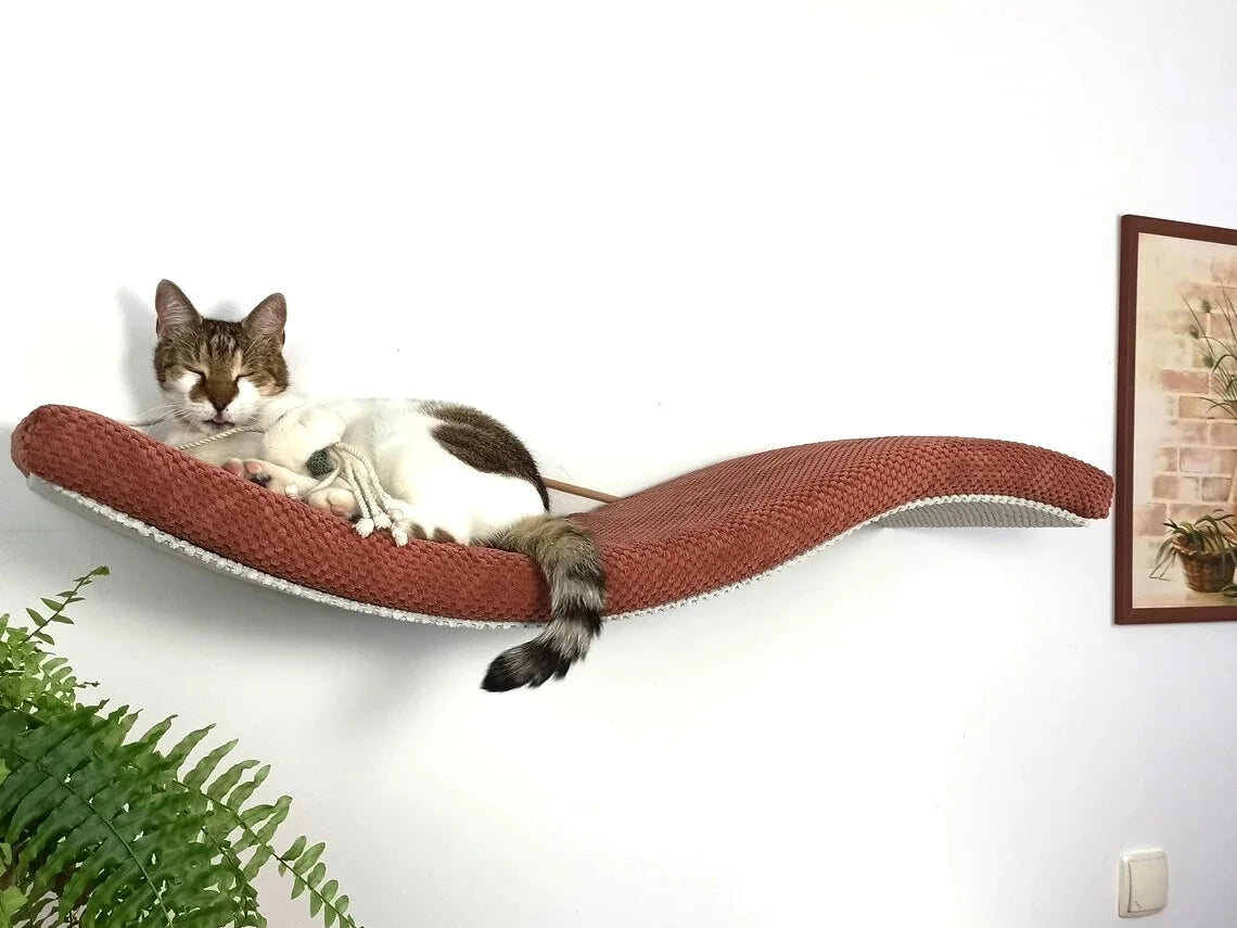 cat-shelf-playful-curve-left-95