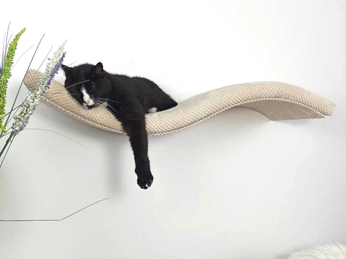 cat-shelf-playful-curve-left-95