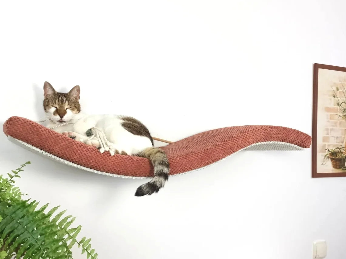 cat-shelf-playful-curve-left-95