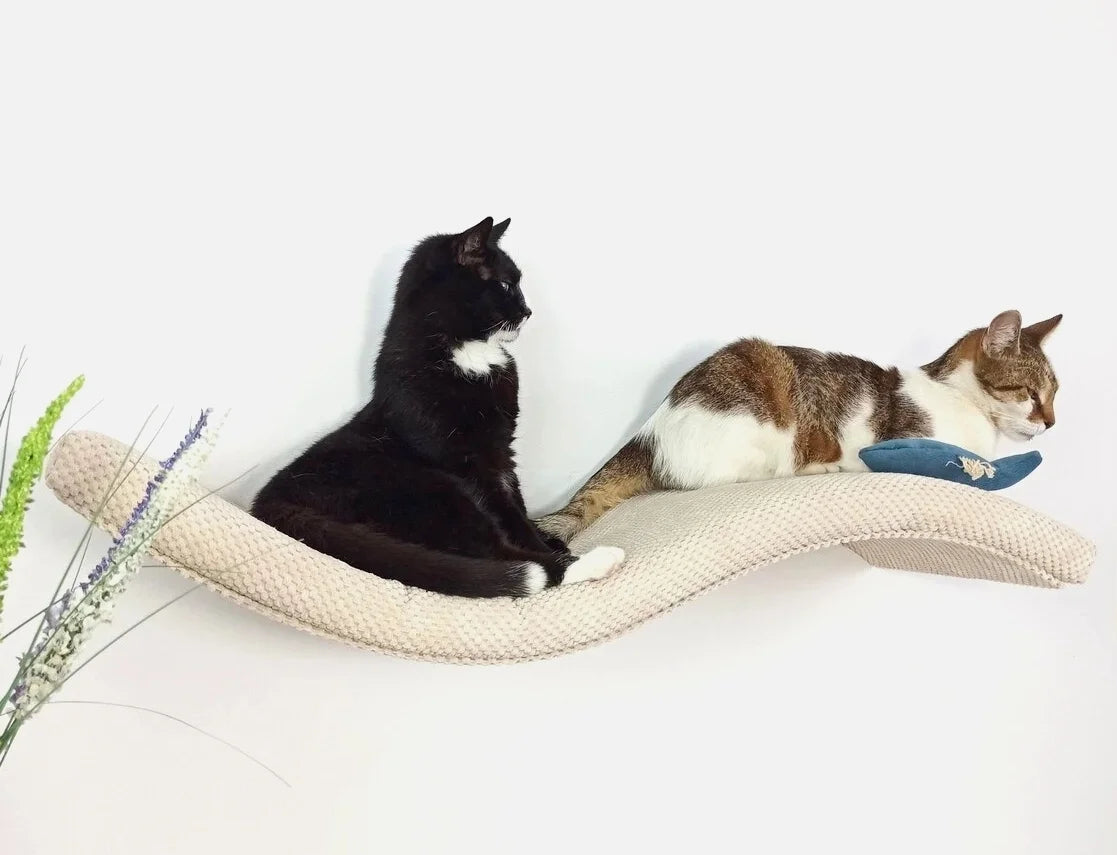 cat-shelf-playful-curve-left-95