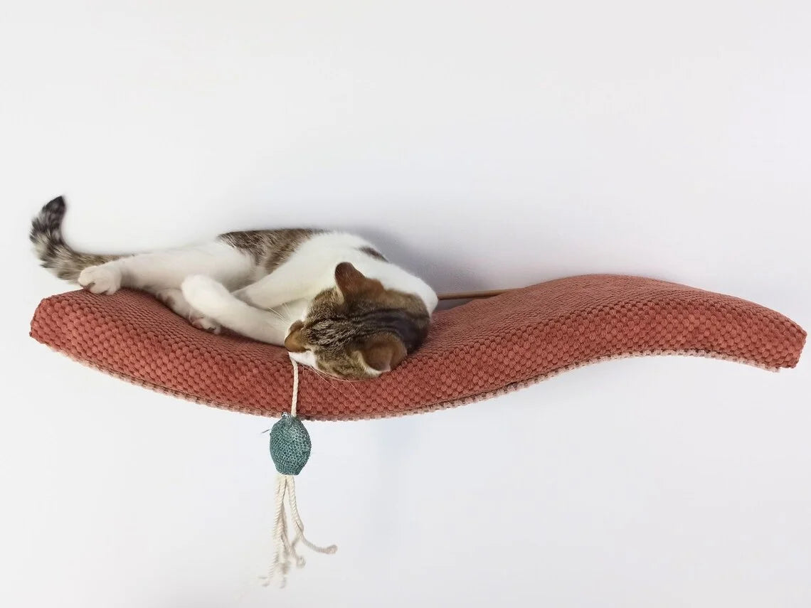cat-shelf-playful-curve-left-95