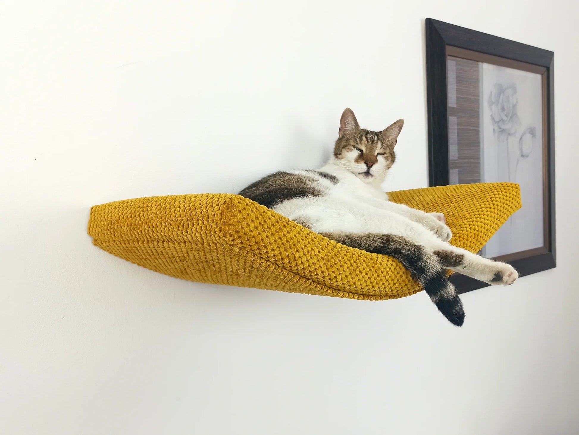 cat-shelf-the-arcing-haven-100-cm