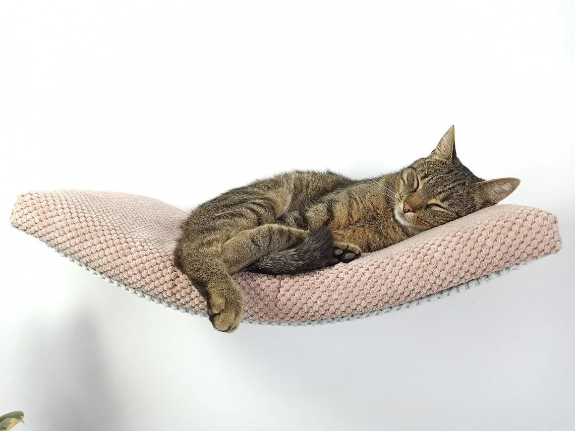 cat-shelf-the-arcing-haven-60-cm