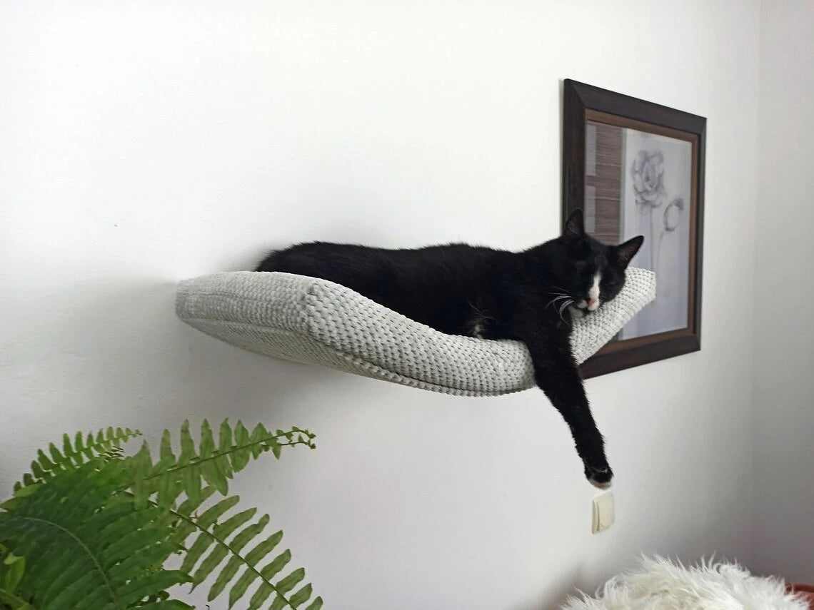 cat-shelf-the-arcing-haven-60-cm