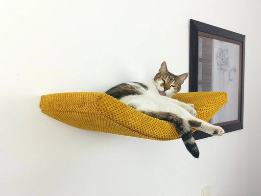 cat-shelf-the-arcing-haven-75-cm