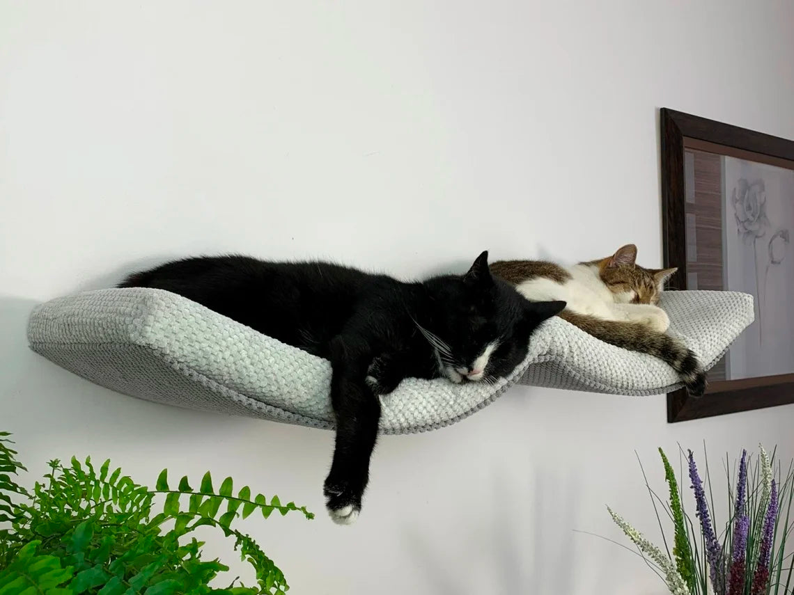 cat-shelf-the-double-arch-haven-100-cm