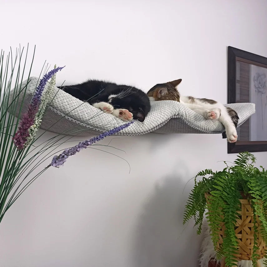 cat-shelf-the-double-arch-haven-100-cm
