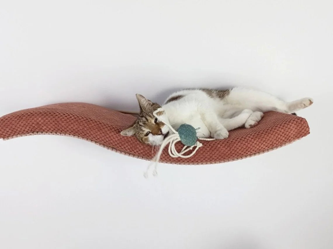 cat-shelf-the-playful-curve-right-75-cm