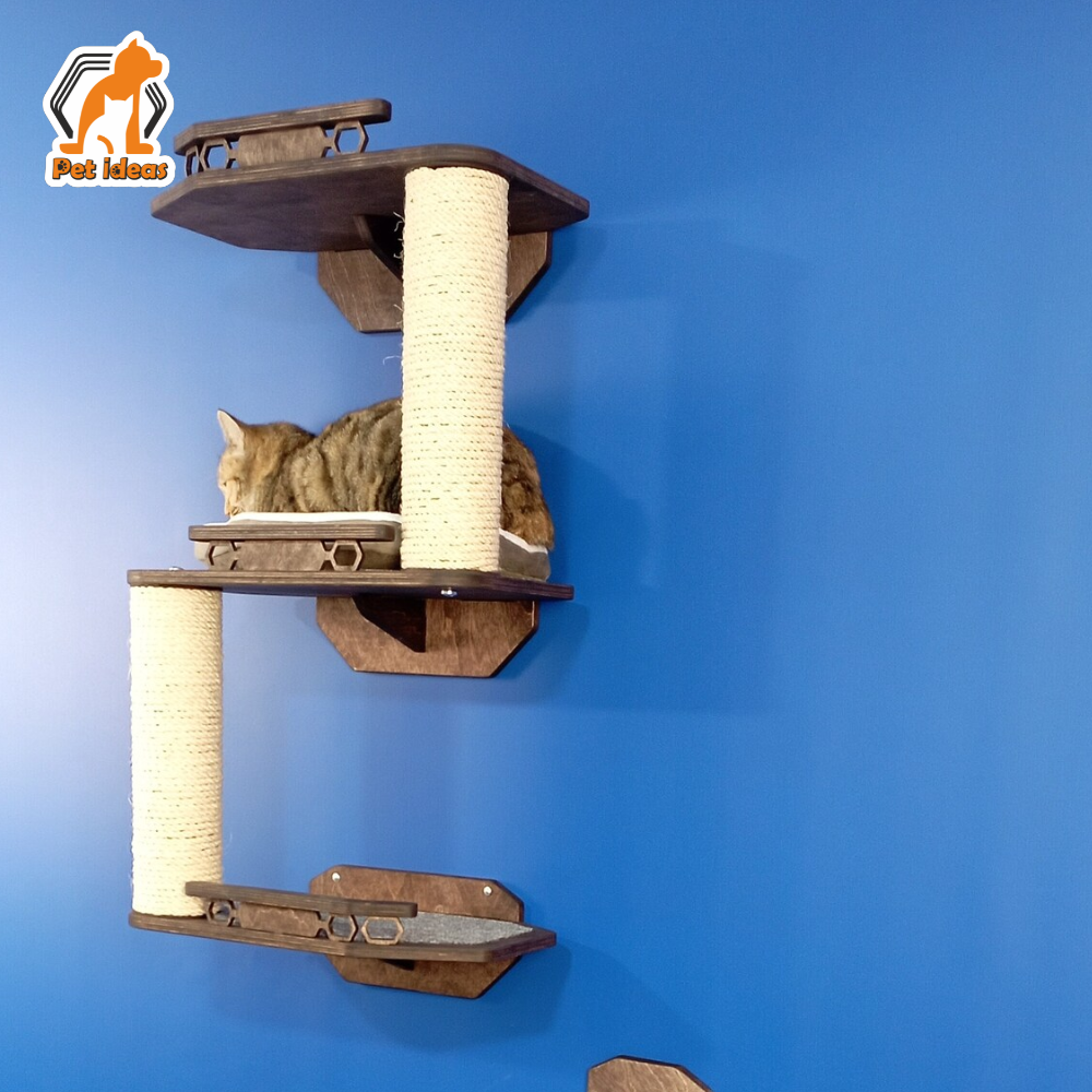 cat-wall-entertainment-scratching-maze-center