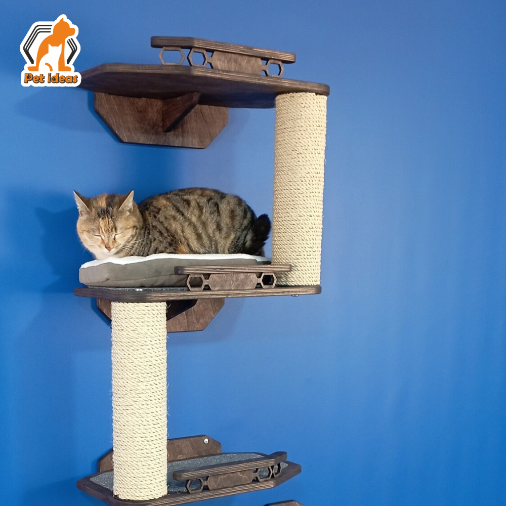 cat-wall-entertainment-scratching-maze-center