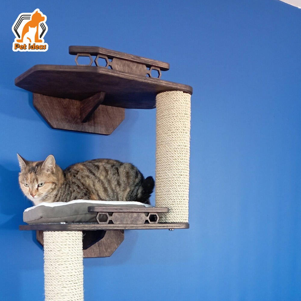 cat-wall-entertainment-scratching-maze-center