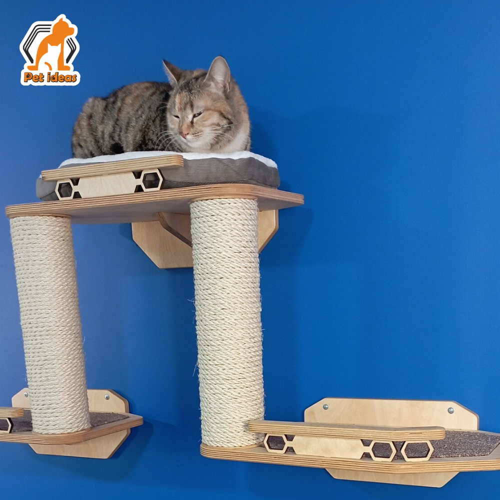 cat-wall-entertainment-scratching-maze-center