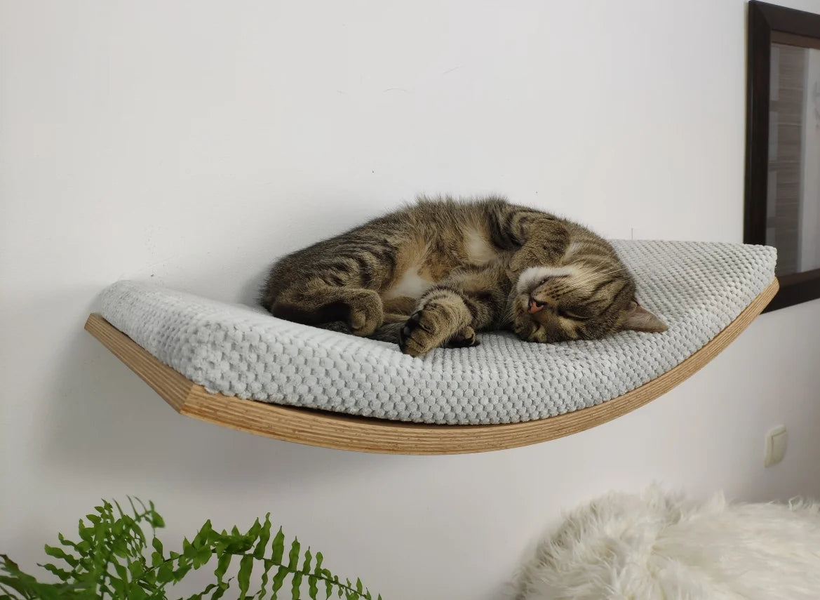cat-wall-shelf-curvaceous-comfort-60-cm