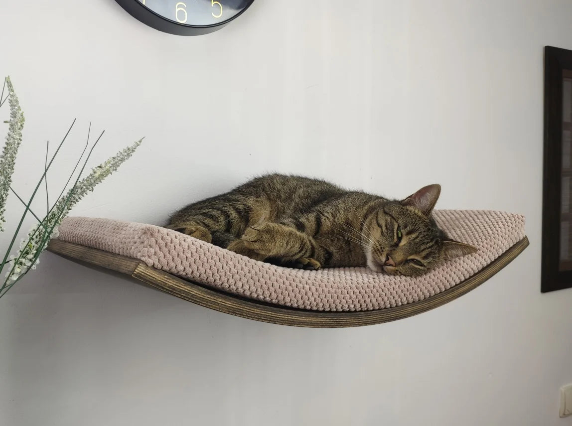 cat-wall-shelf-curvaceous-comfort-60-cm