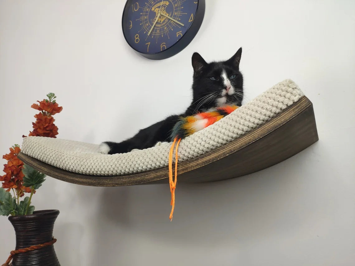 cat-wall-shelf-curvaceous-comfort-60-cm