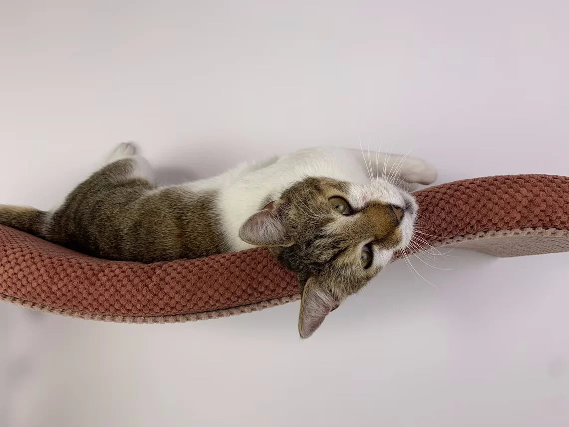cat-wall-shelf-playful-curve-left-100-cm
