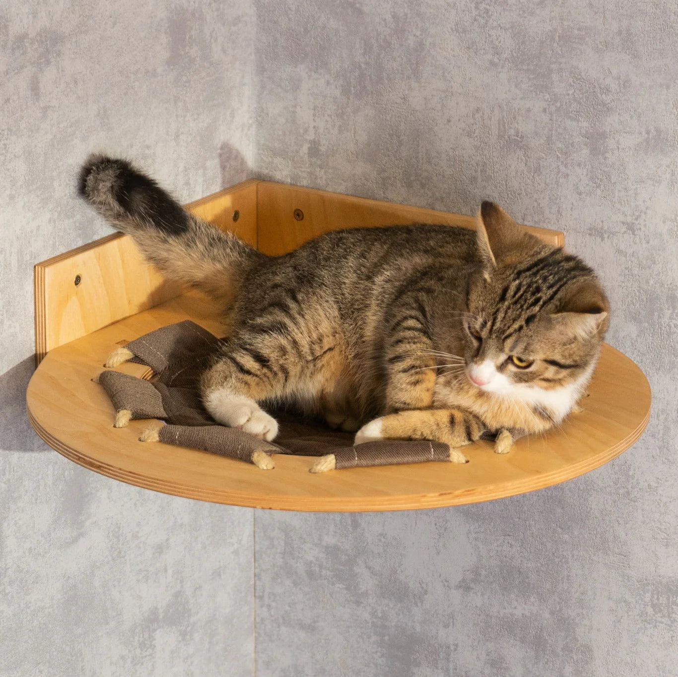 handmade-cat-round-hammock