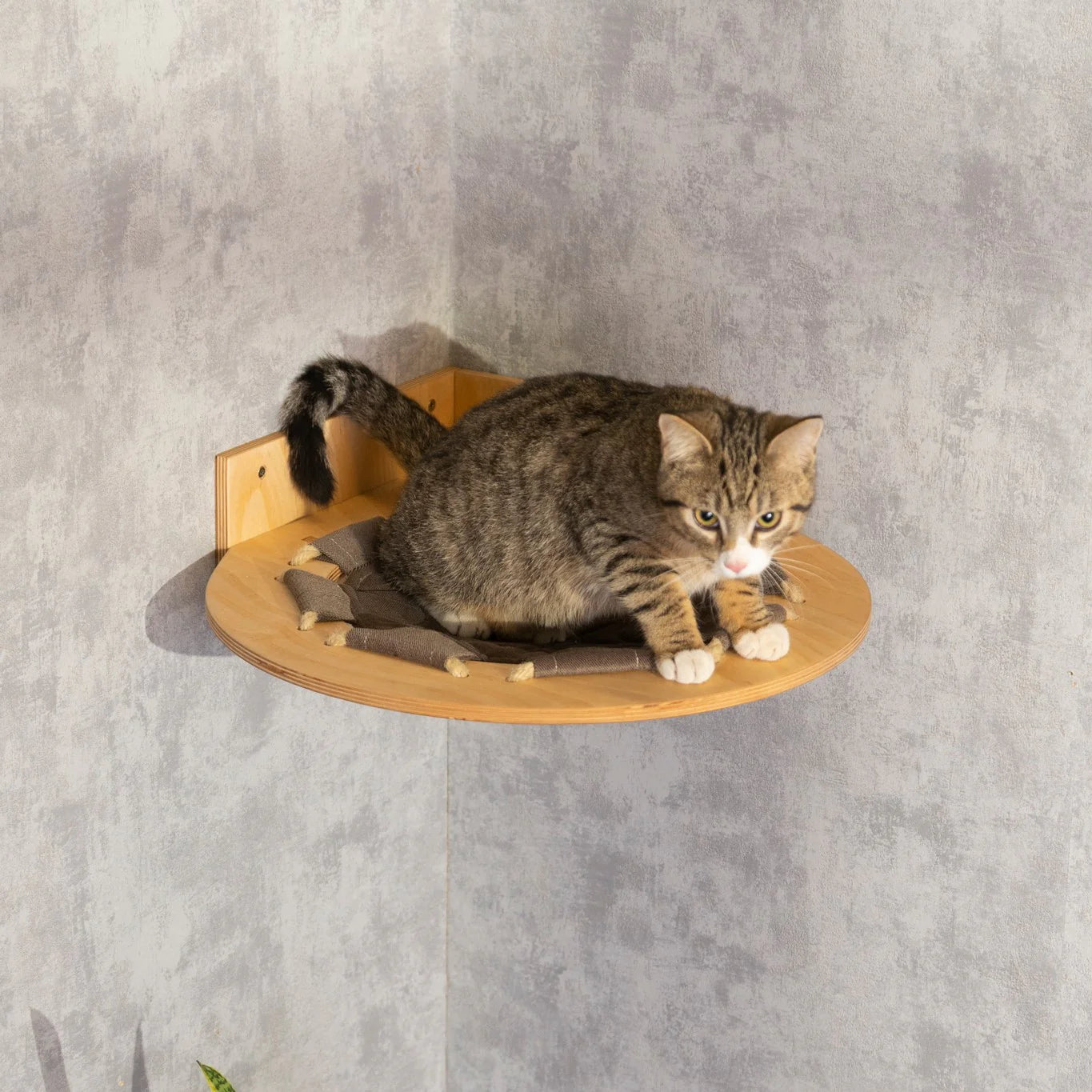 handmade-cat-round-hammock