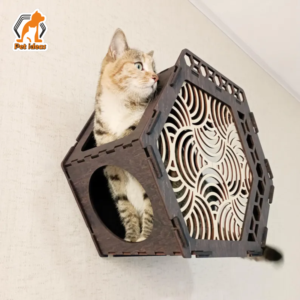 hexagon-wall-mounted-cat-shelf-with-decorative-grid