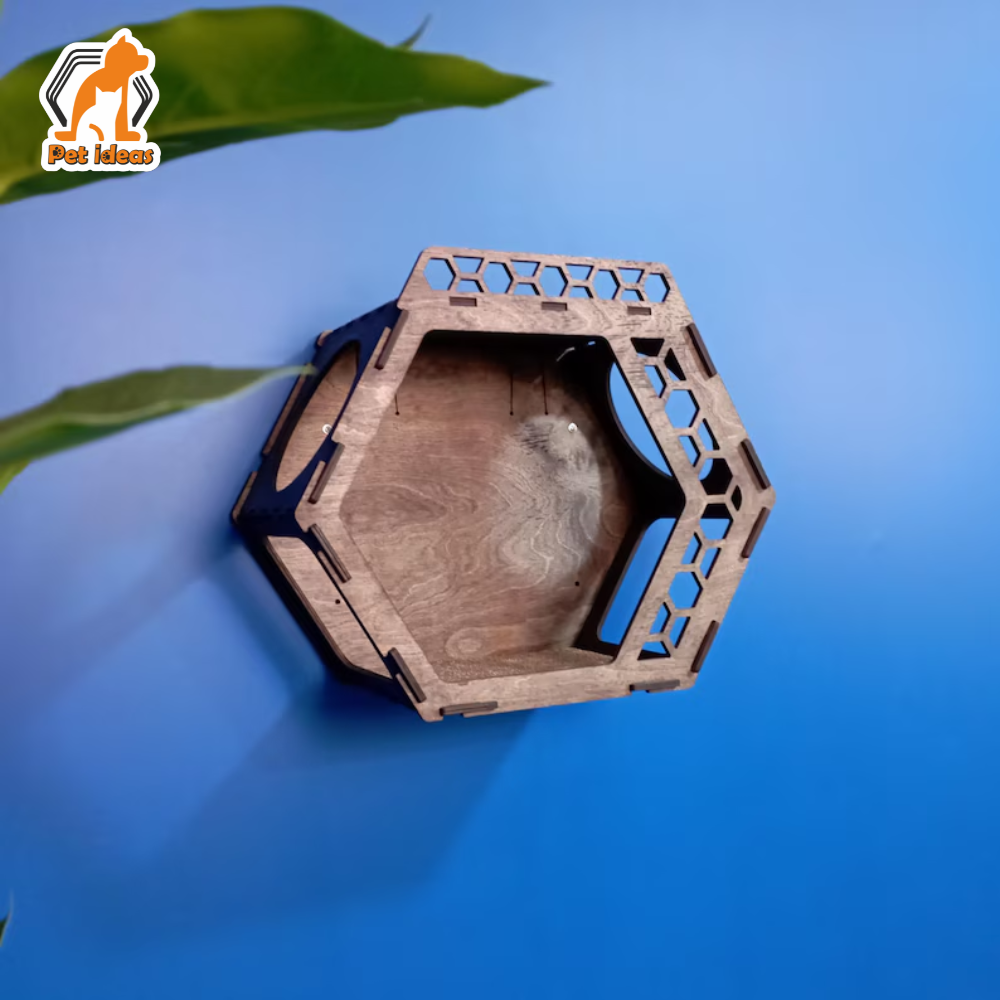 hexagon-wall-mounted-cat-shelf-with-decorative-grid