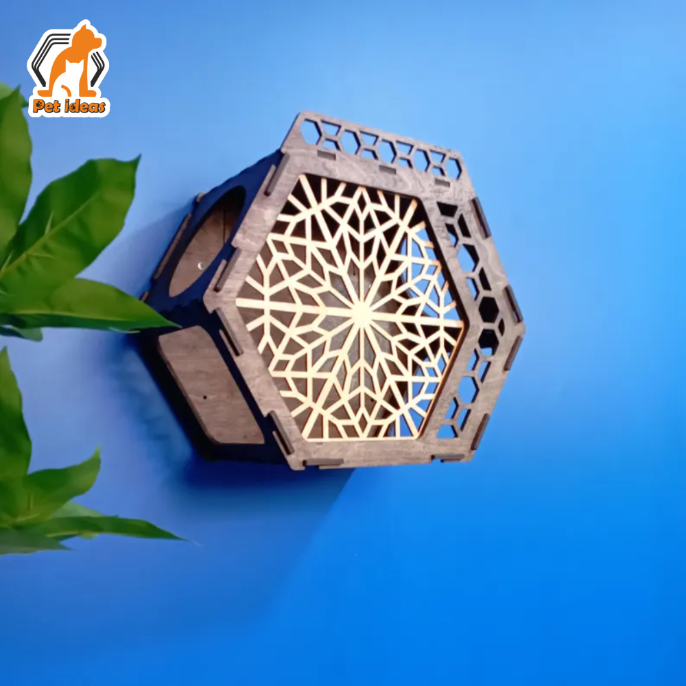 hexagon-wall-mounted-cat-shelf-with-decorative-grid