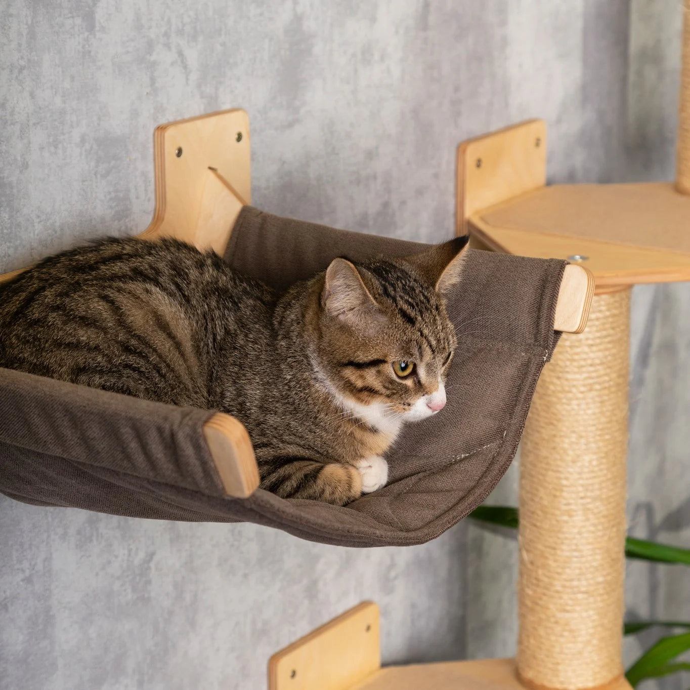 luxurious-cat-hammock-scratching-post