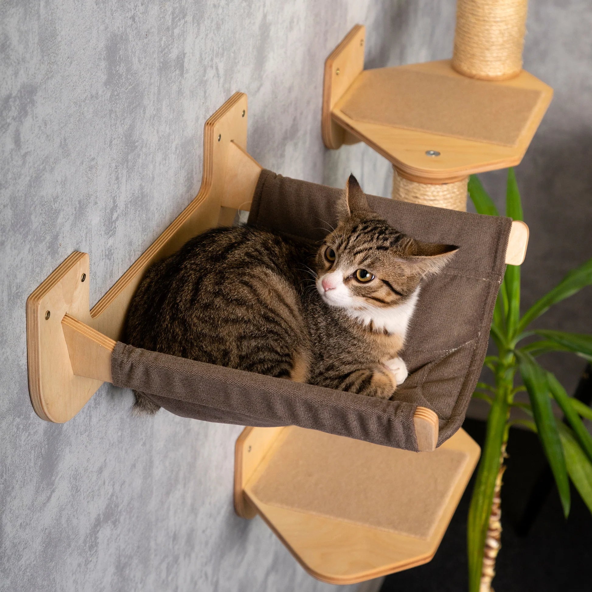 luxurious-cat-hammock-scratching-post