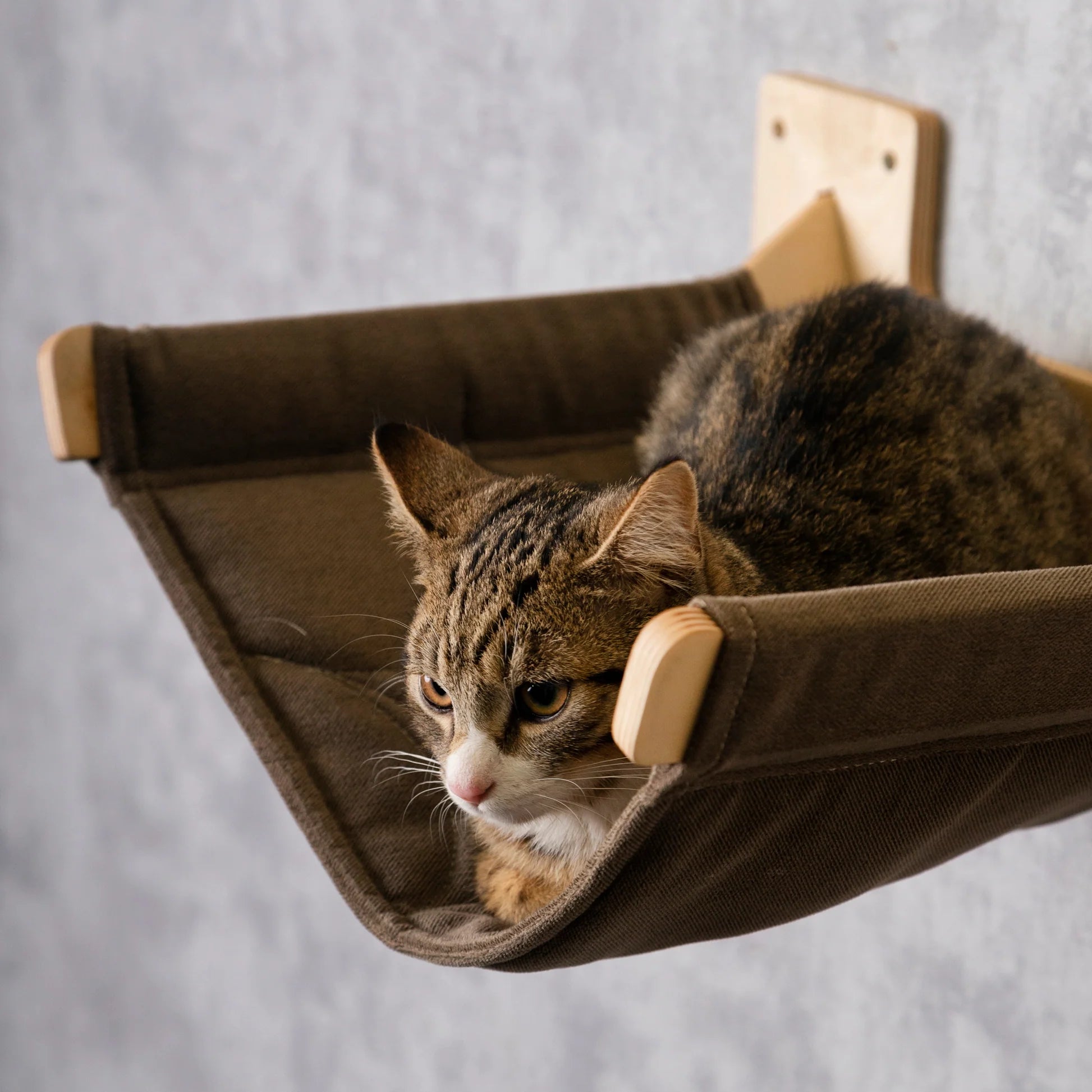 luxurious-cat-hammock-scratching-post