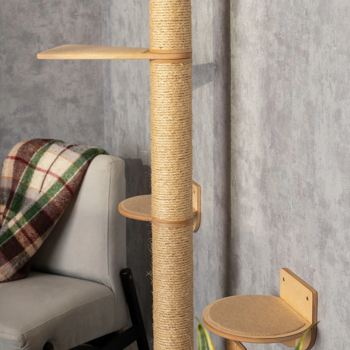 multi-level-cat-tree-and-wall-mounted-shelves-set