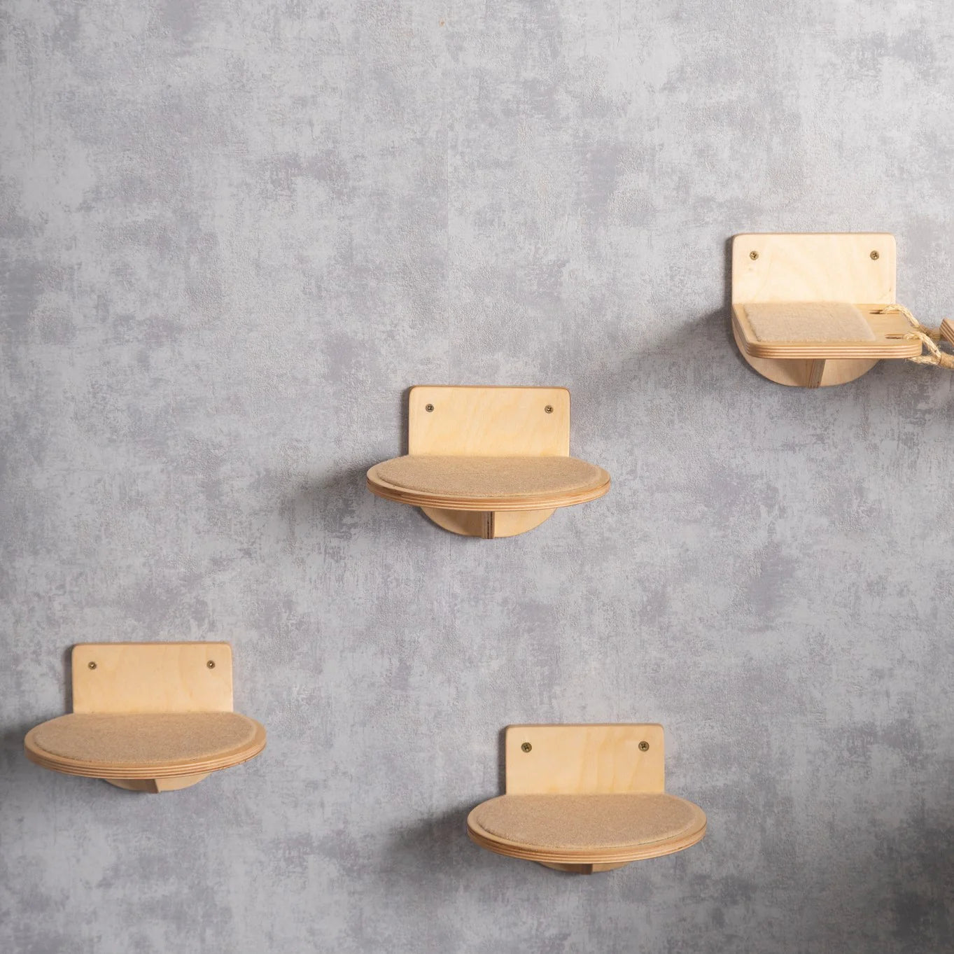 perfect-cat-feeder-with-bridge-steps