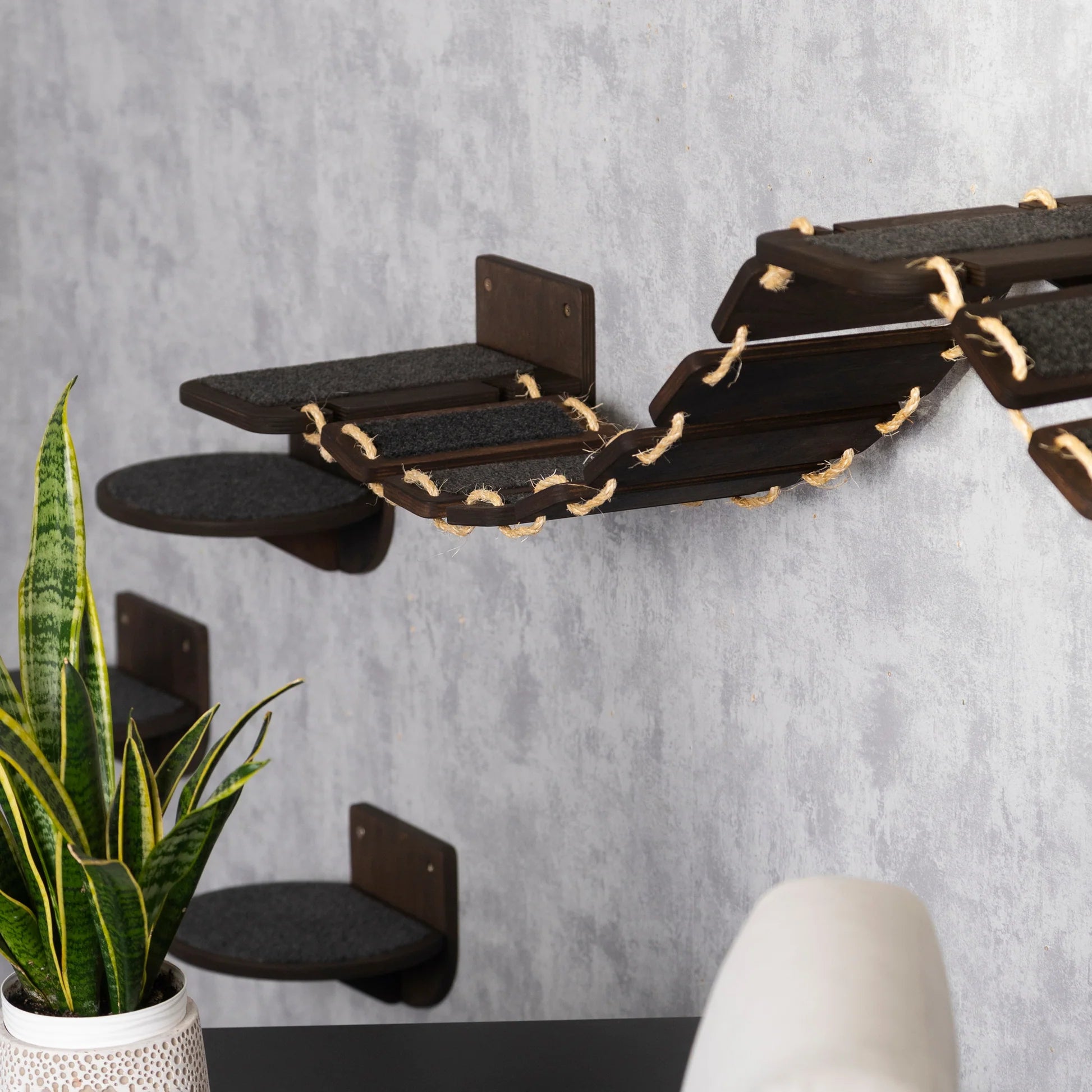 perfect-cat-feeder-with-bridge-steps