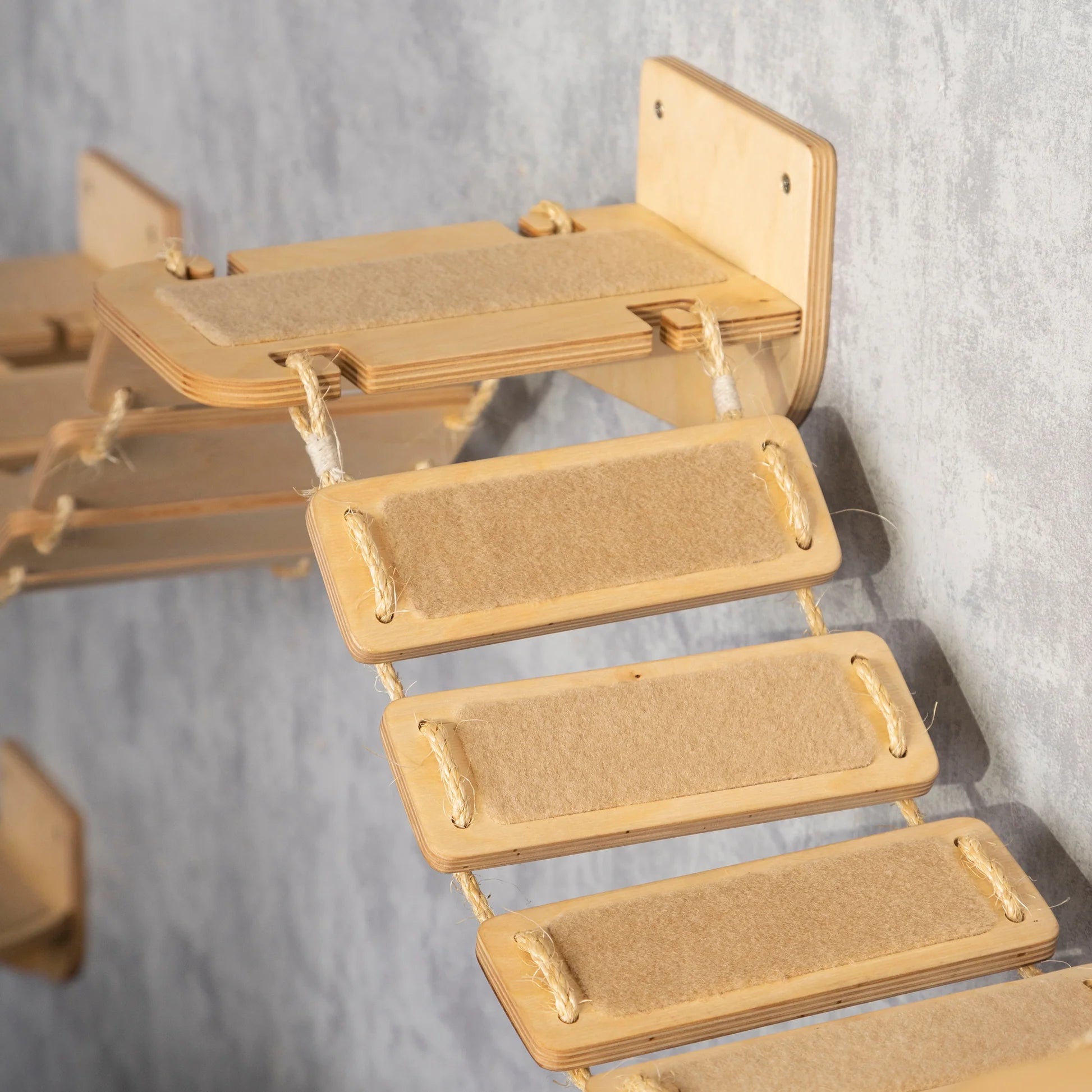 perfect-cat-feeder-with-bridge-steps