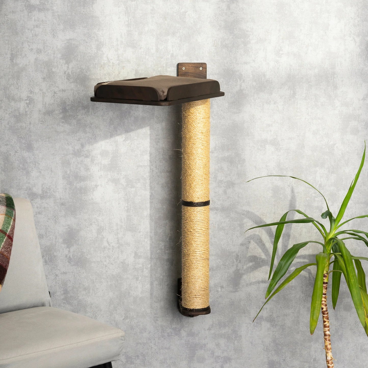 premium-cat-scratching-post-and-cozy-bed-combo