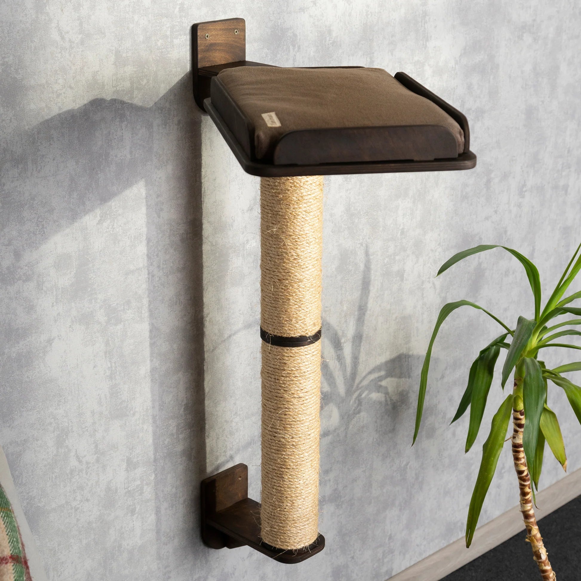 premium-cat-scratching-post-and-cozy-bed-combo