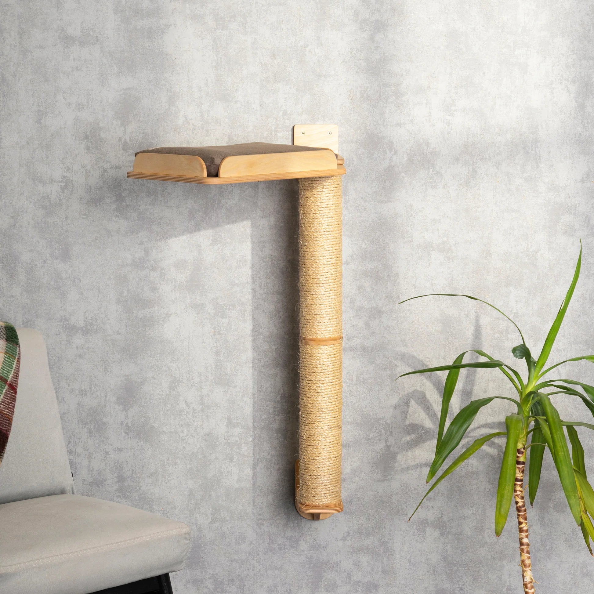 premium-cat-scratching-post-and-cozy-bed-combo