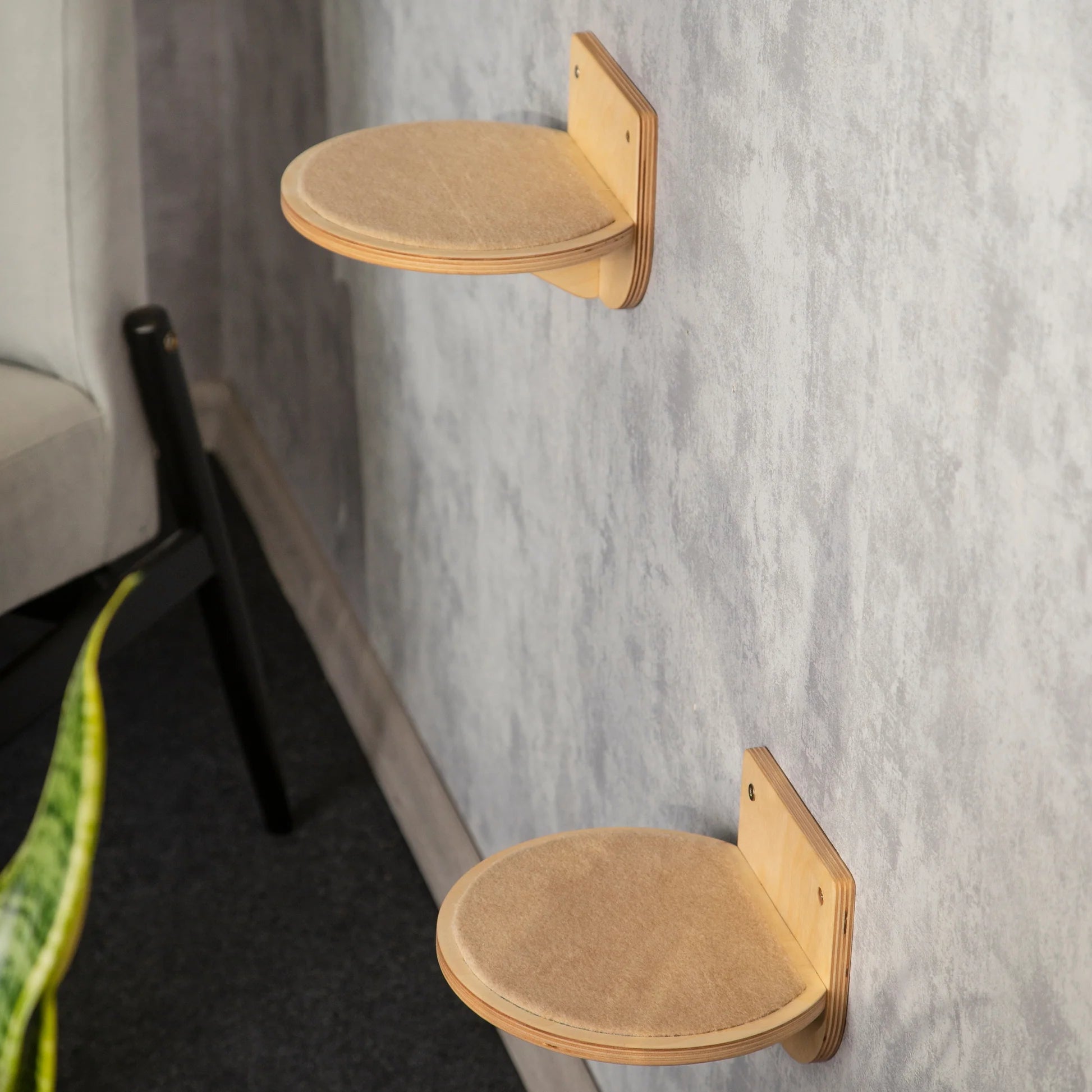 stylish-cat-bridge-with-attached-feeder