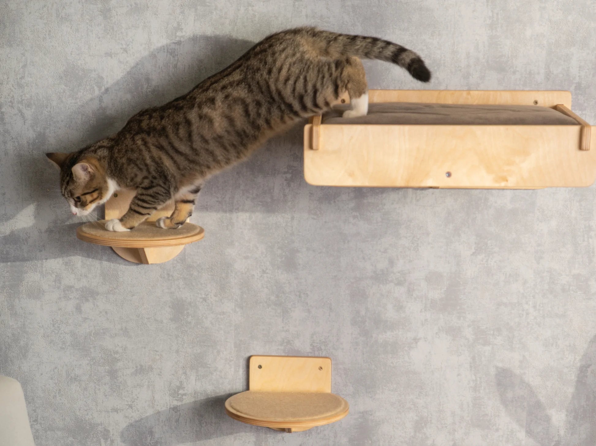 stylish-cat-bridge-with-attached-feeder