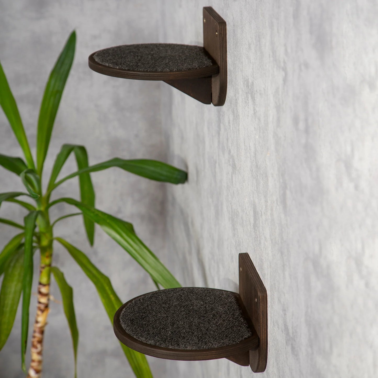 stylish-cat-bridge-with-attached-feeder