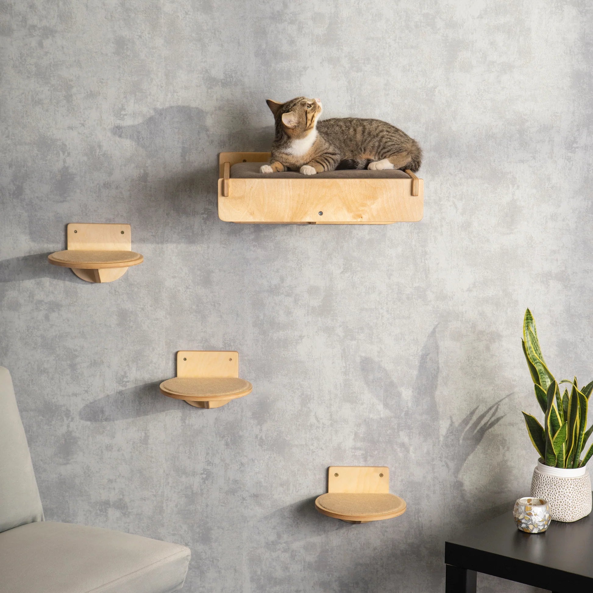 stylish-cat-bridge-with-attached-feeder