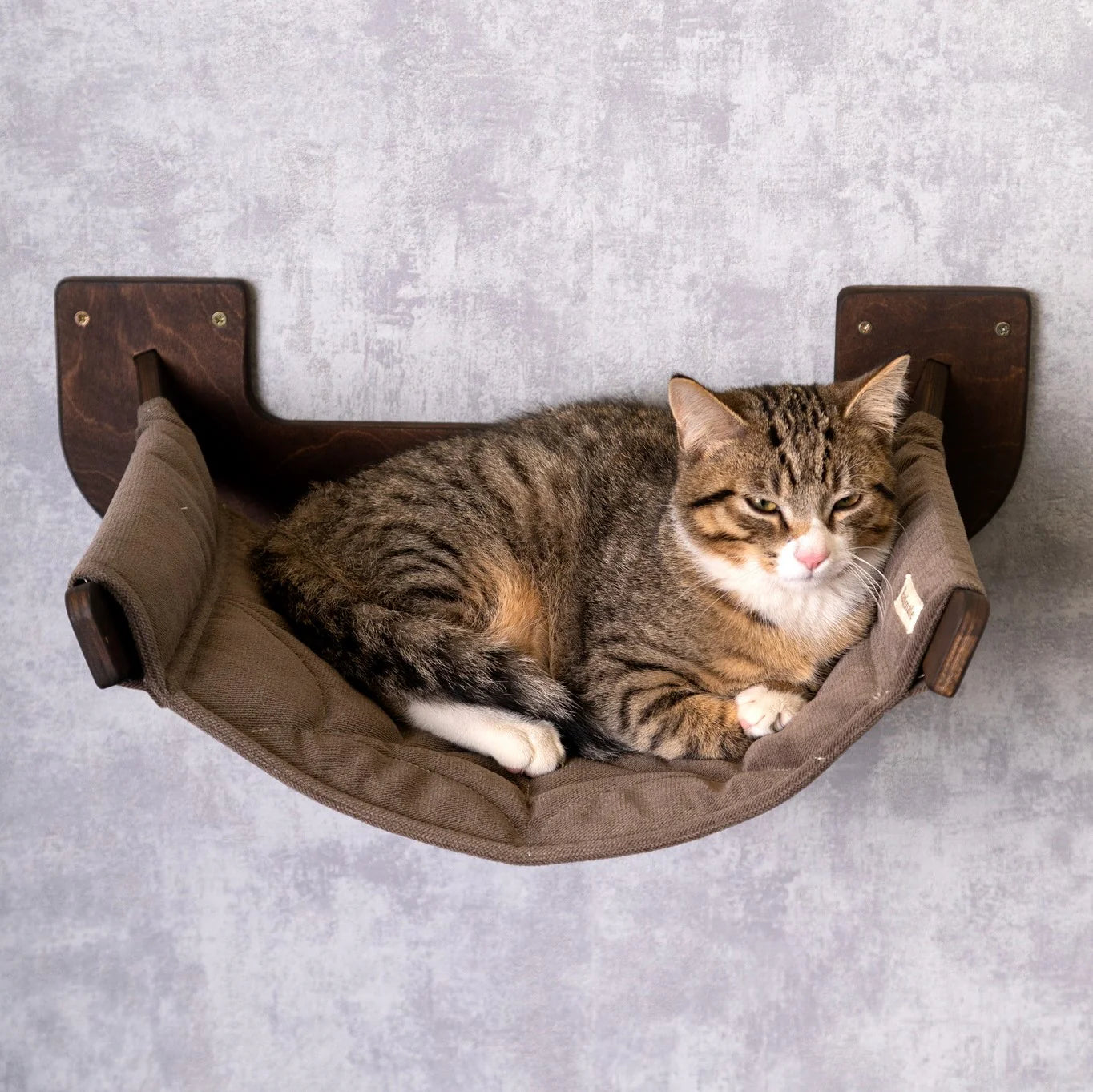 stylish-cat-hammock-and-cat-steps-set