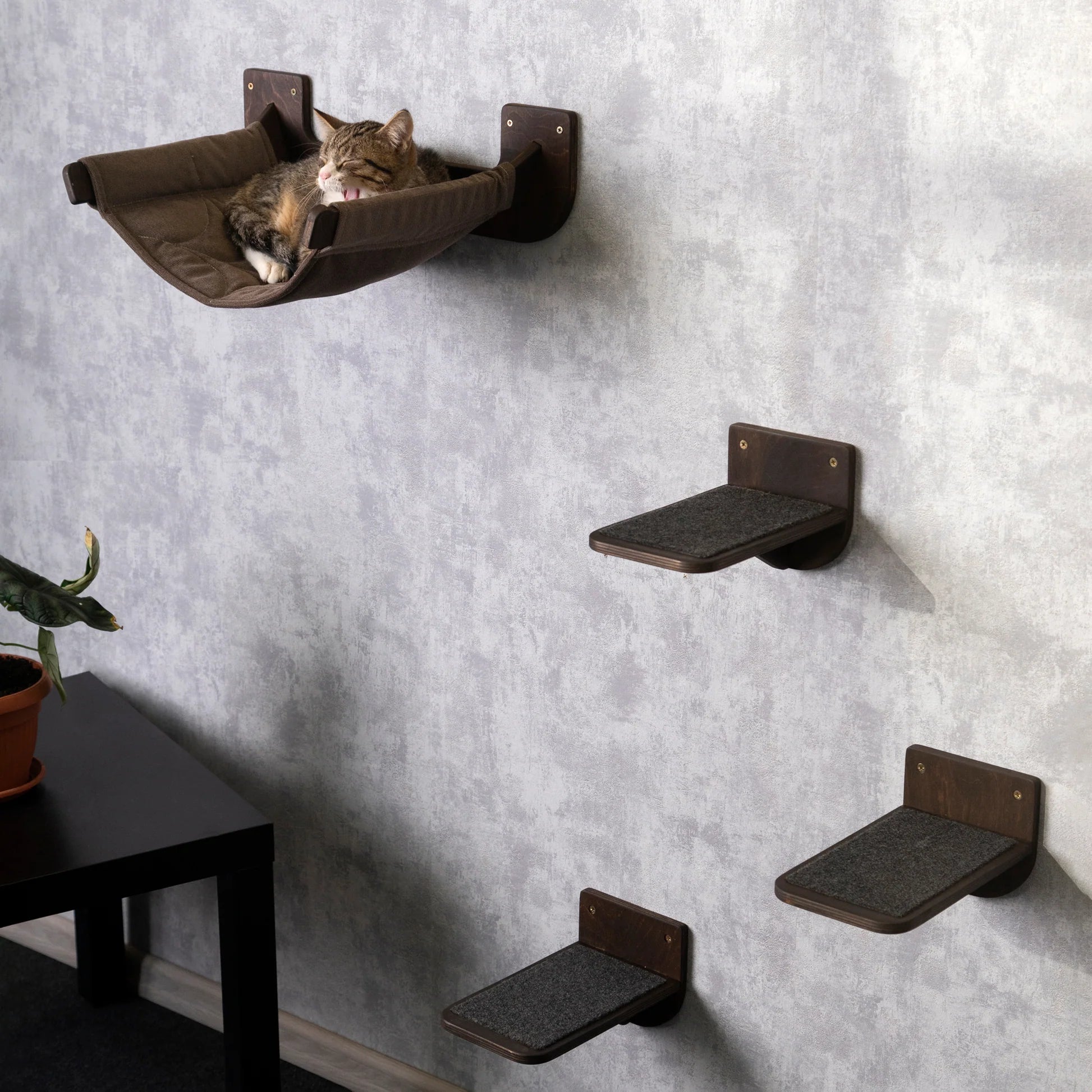 stylish-cat-hammock-and-cat-steps-set