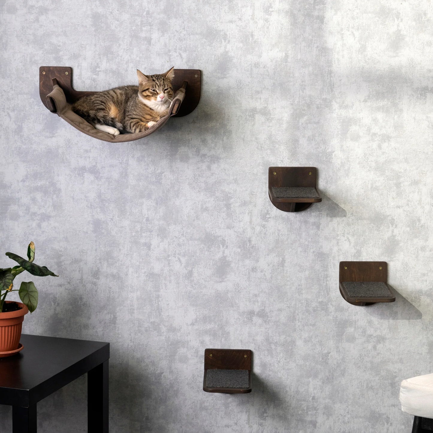 stylish-cat-hammock-and-cat-steps-set